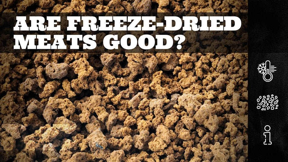 How Long Does Freeze Dried Meat Last: Storage Tips & More