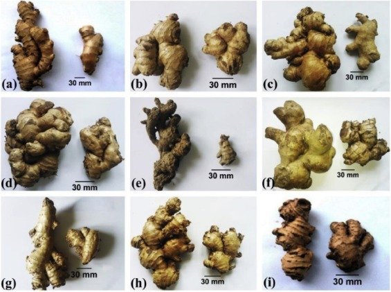 How Much Is 5 Grams Of Ginger: A Comprehensive Guide