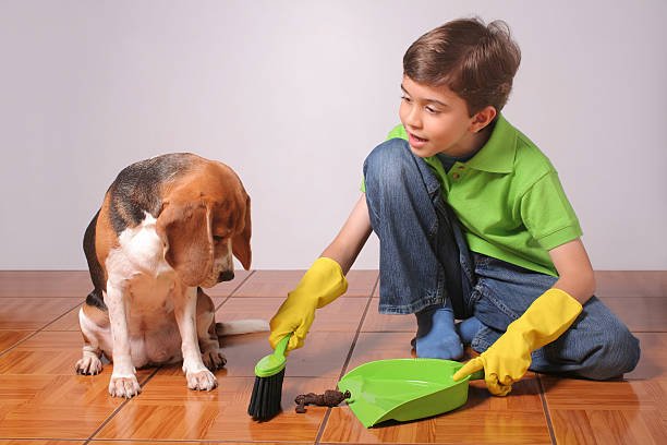 Efficient Ways To Clean Dog Poop From Floor – Ultimate Guide