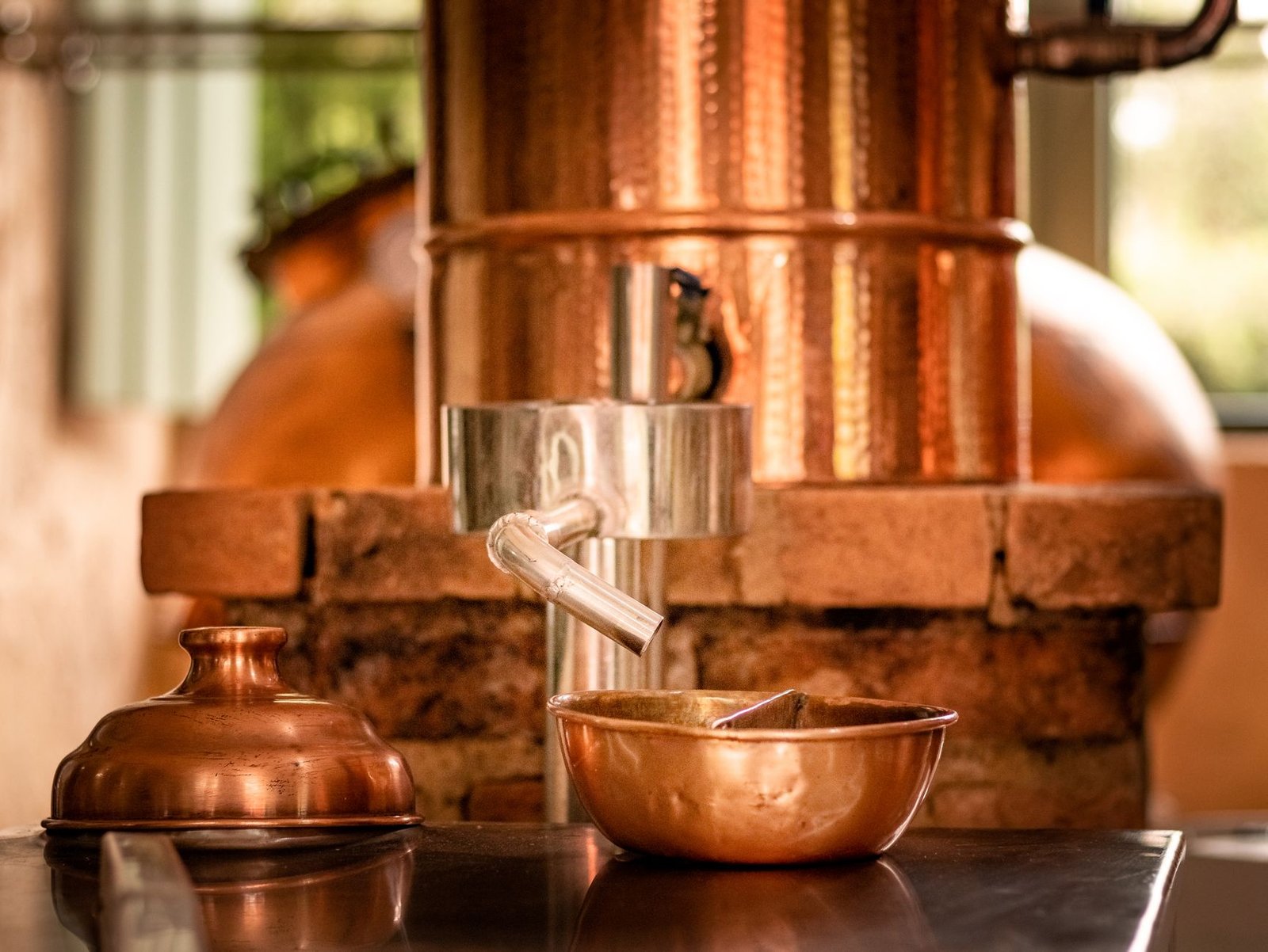 Claude AI model distillation